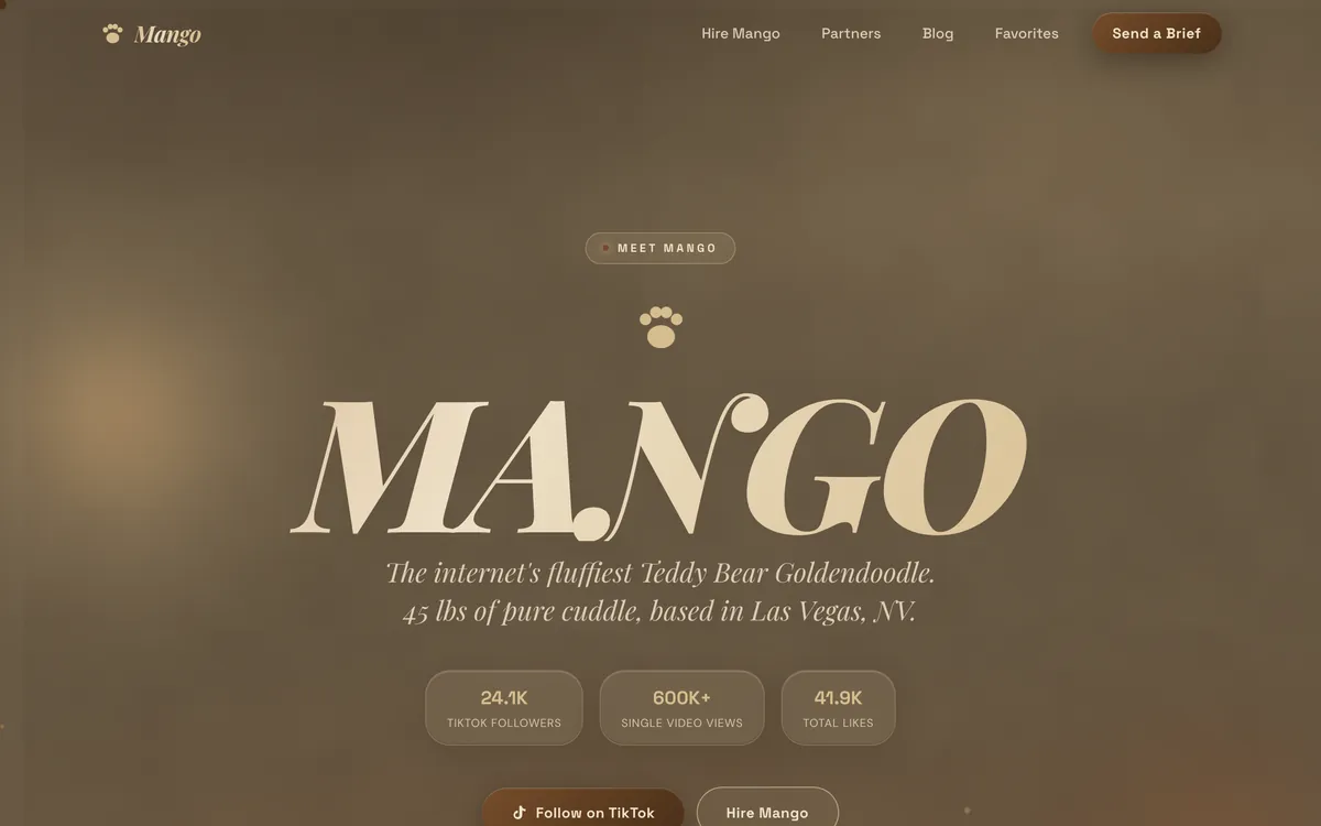 Creator brand website on a desktop, designed and built by Delvixo