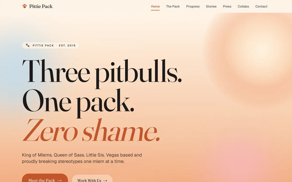 Brand website on a desktop, designed and built by Delvixo