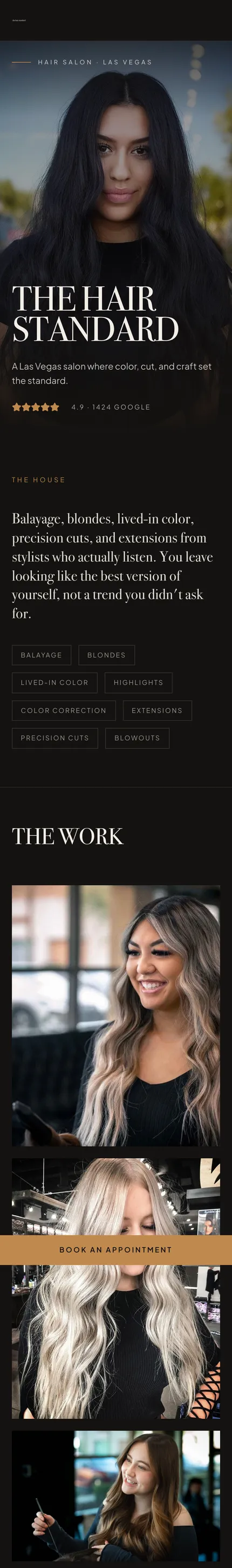 The Hair Standard website, built by Delvixo
